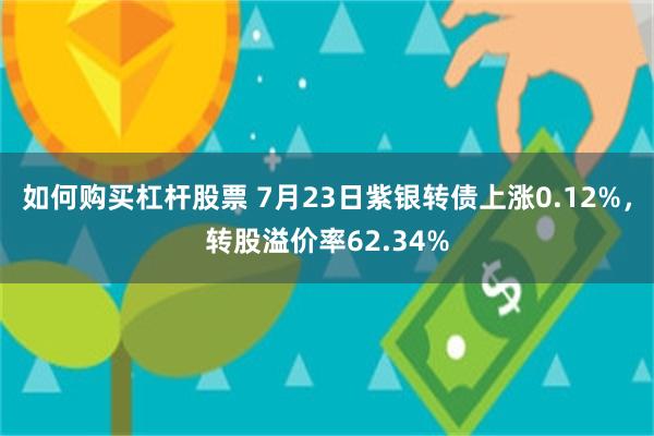 如何购买杠杆股票 7月23日紫银转债上涨0.12%，转股溢价率62.34%