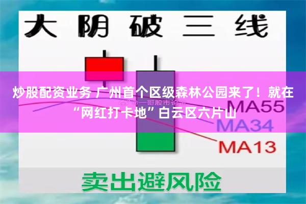 炒股配资业务 广州首个区级森林公园来了！就在“网红打卡地”白云区六片山