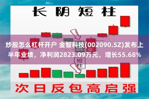 炒股怎么杠杆开户 金智科技(002090.SZ)发布上半年业绩，净利润2823.09万元，增长55.68%