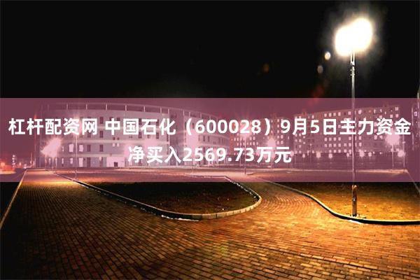 杠杆配资网 中国石化（600028）9月5日主力资金净买入2569.73万元