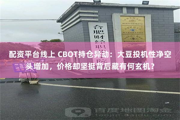 配资平台线上 CBOT持仓异动：大豆投机性净空头增加，价格却坚挺背后藏有何玄机？