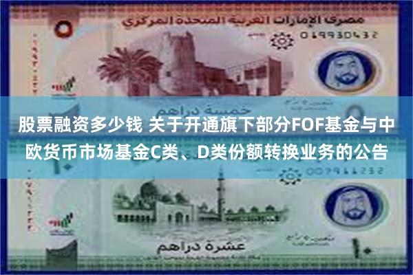 股票融资多少钱 关于开通旗下部分FOF基金与中欧货币市场基金C类、D类份额转换业务的公告