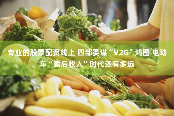 专业的股票配资线上 四部委谋“V2G”鸿图 电动车“睡后收入”时代还有多远