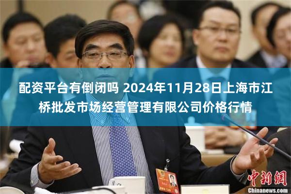 配资平台有倒闭吗 2024年11月28日上海市江桥批发市场经营管理有限公司价格行情