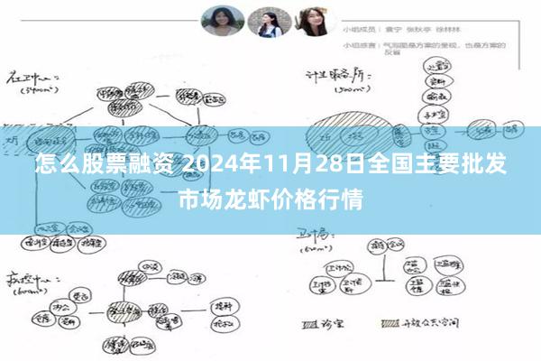 怎么股票融资 2024年11月28日全国主要批发市场龙虾价格行情