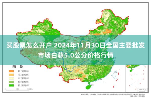 买股票怎么开户 2024年11月30日全国主要批发市场白蒜5.0公分价格行情