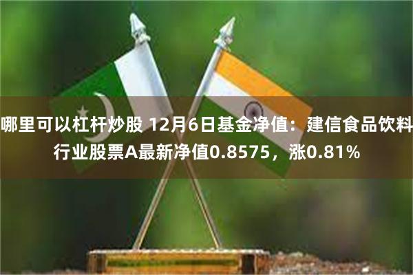 哪里可以杠杆炒股 12月6日基金净值：建信食品饮料行业股票A最新净值0.8575，涨0.81%