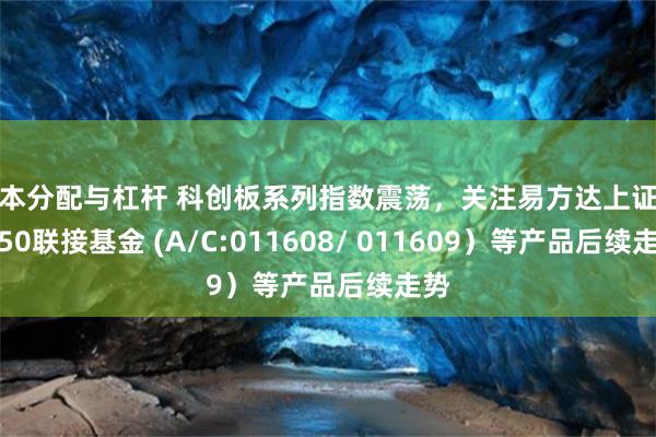 资本分配与杠杆 科创板系列指数震荡，关注易方达上证科创50联接基金 (A/C:011608/ 011609）等产品后续走势