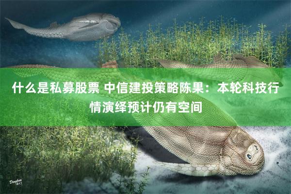 什么是私募股票 中信建投策略陈果：本轮科技行情演绎预计仍有空间