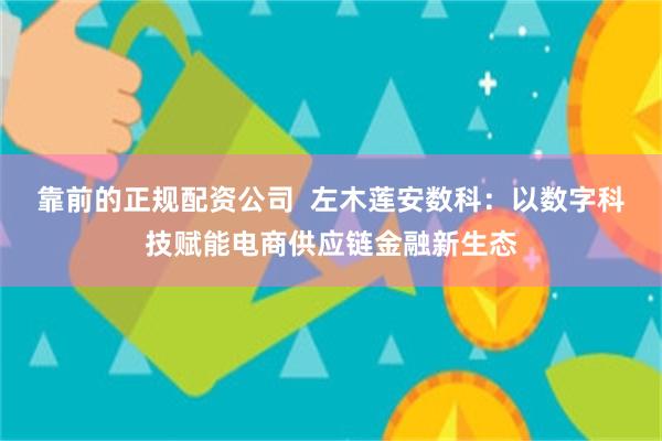 靠前的正规配资公司  左木莲安数科：以数字科技赋能电商供应链金融新生态