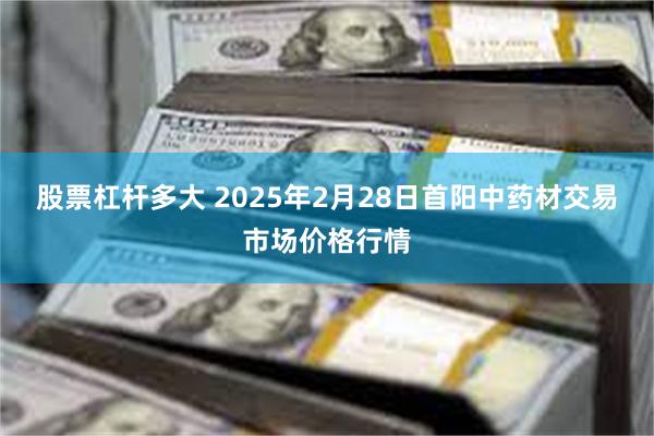 股票杠杆多大 2025年2月28日首阳中药材交易市场价格行情